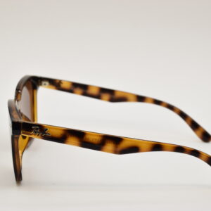 عینک آفتابی ری بن مدل پلنگی Ray-Ban 4392